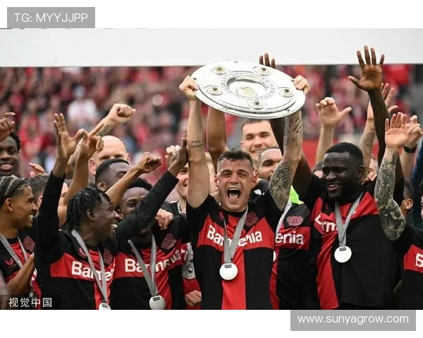 [德甲]勒沃库森继续10分优势领跑德甲.