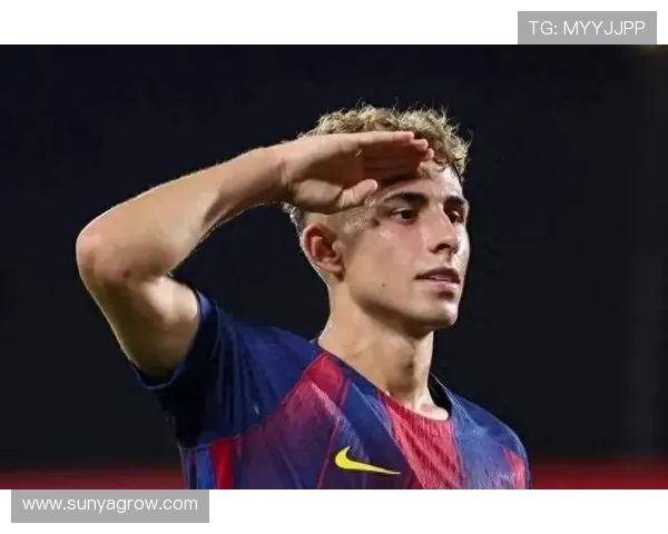 弗里克：我觉得我对费尔明的受伤负有责任