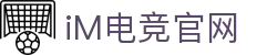 IM（股份有限公司）电竞-电子竞技平台